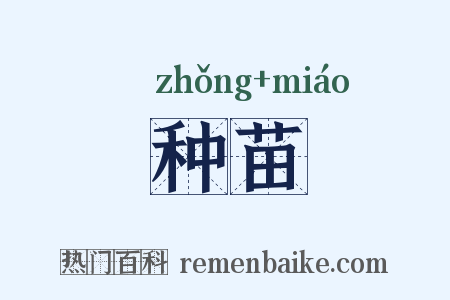 种苗是什么意思的图片
